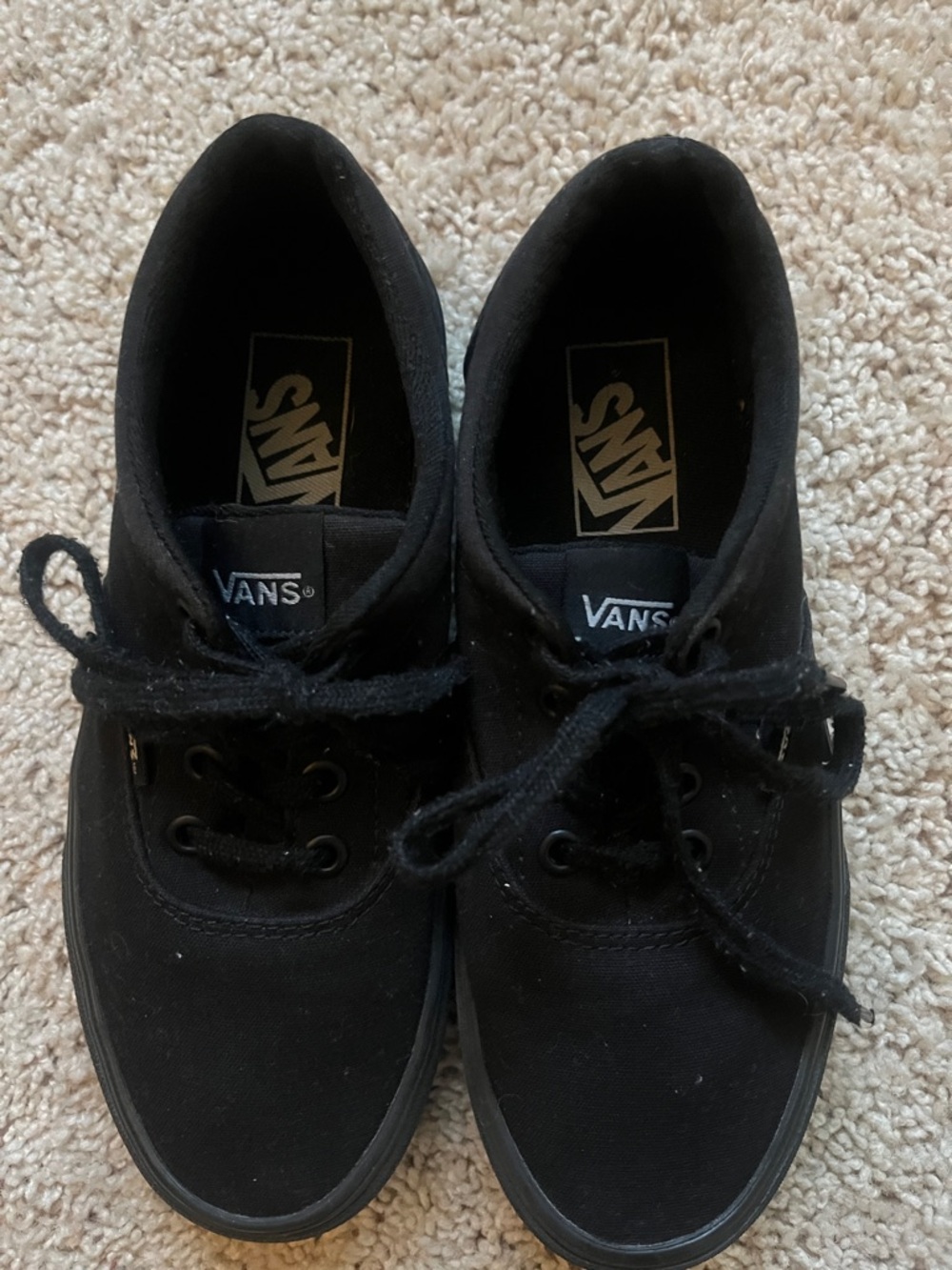 Vans Black Canvas Low-Top Skate Shoes